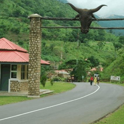 LOCAL TOURS